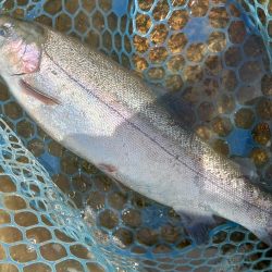 暑い！ ～フィシングパーク高島の泉～